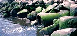 An effluent pipe discharging between mossy rocks on the shore