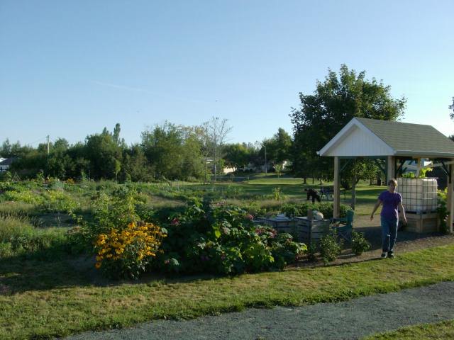 Plates-bandes fleuries et kiosque du jardin, avec son réservoir d'eau de pluie, au jardin communautaire du parc Victoria